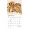 Plato; Puppy Pals | 2027 7 x 14 Inch (Hanging) Monthly Mini Wall Calendar | Foil Stamped Cover; Category:Wall Calendars; Image:4
